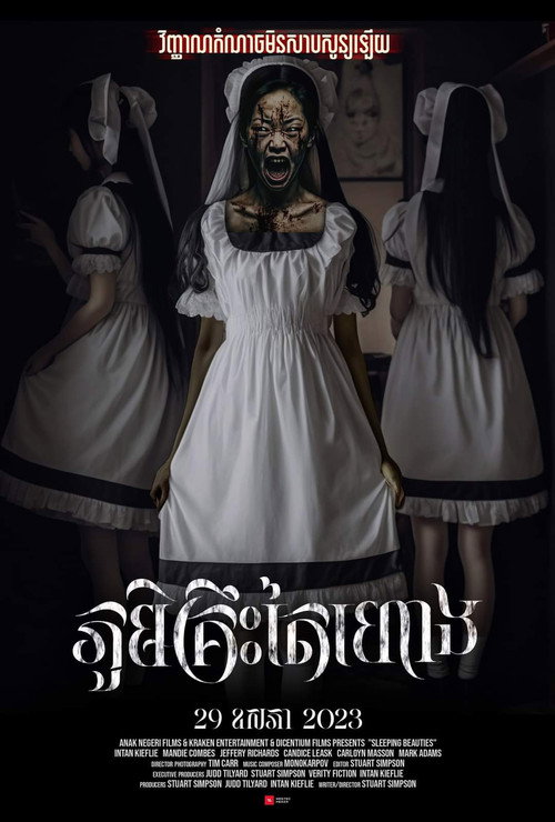 Sleeping Beauties poster