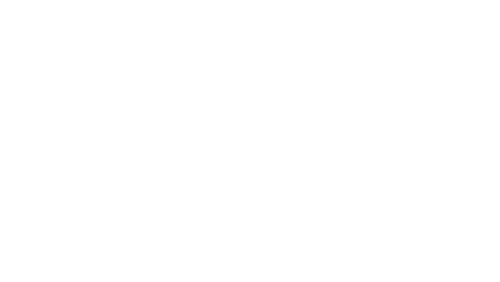 Commander Fort