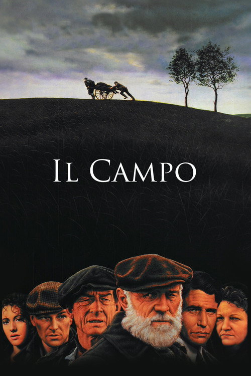 Il campo