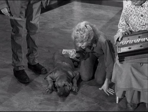The Beverly Hillbillies, S01E22 - (1963)