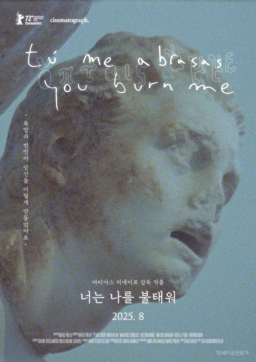 You Burn Me poster
