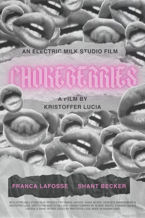 Chokeberries poster
