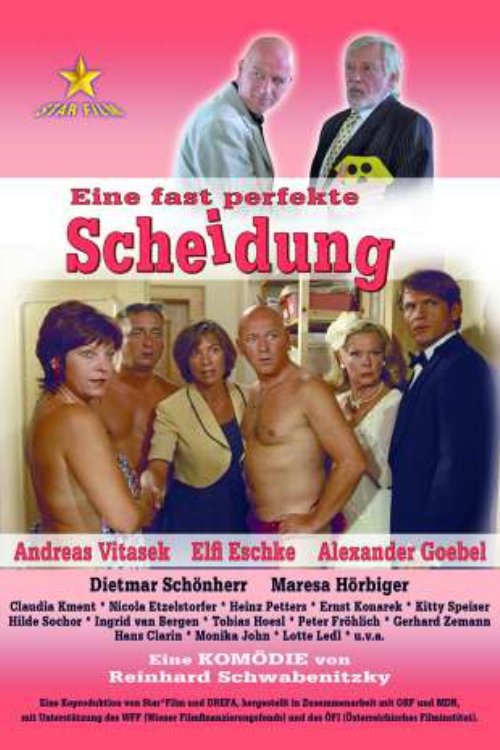 Eine fast perfekte Scheidung movie poster player