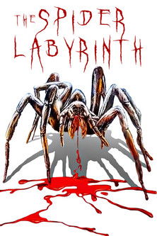 The Spider Labyrinth