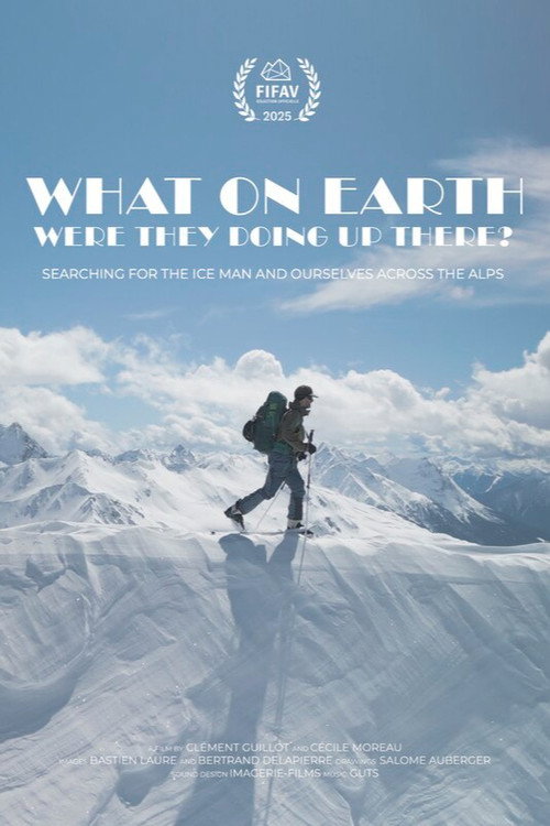 What On Earth Were They Doing Up There? Poster