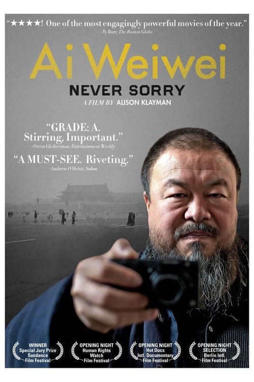 Ai Weiwei: Never Sorry poster