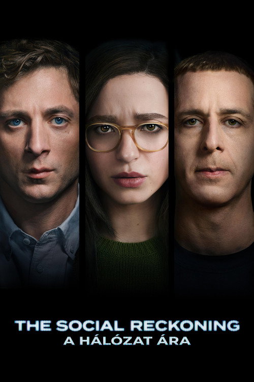 The Social Reckoning - A hálózat ára filmplakátja