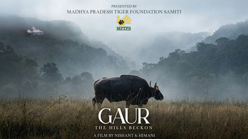 Gaur: The Hills Beckon Backdrop Blur