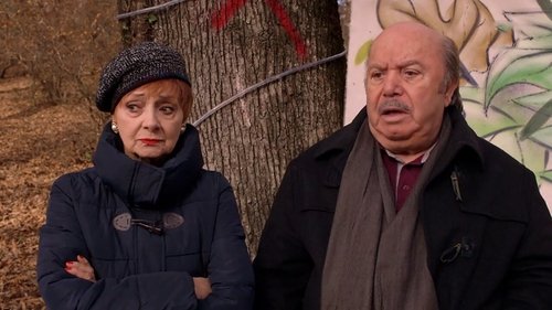 Save the forest! / Rocco 2 - The return