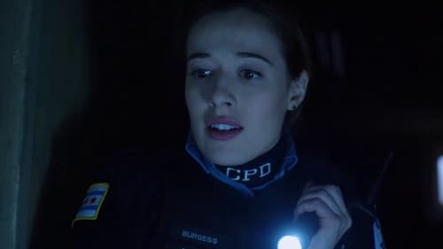 Chicago P.D.: Distrito 21: 1×4