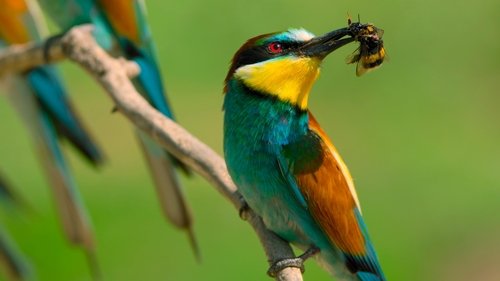 Image de l'épisode 1