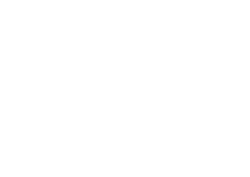 Blue's Big City Adventure