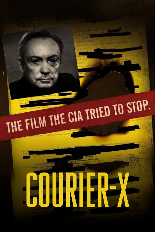 Courier X poster