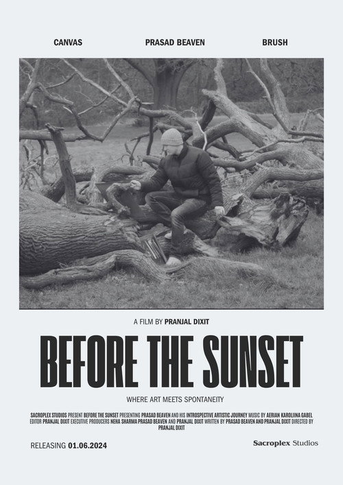 Before The Sunset