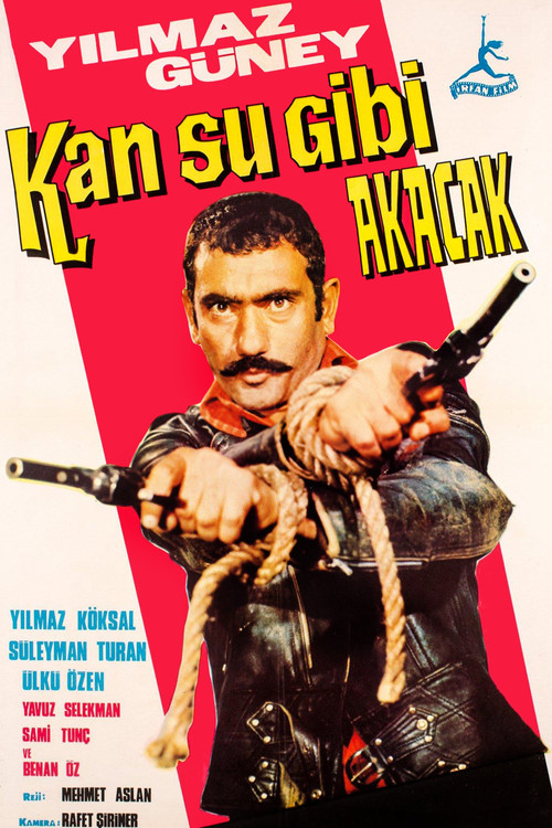 Kan Su Gibi Akacak poster