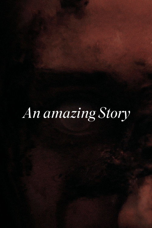 An Amazing Story