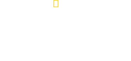 Inside the Hunt for the Boston Bombers