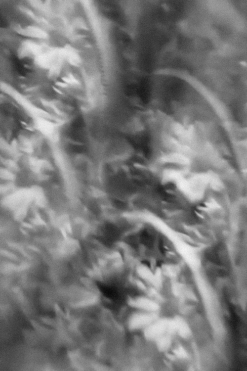 Yesterday's reflection