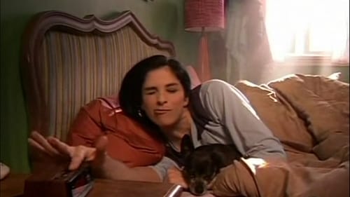 Poster della serie The Sarah Silverman Program.