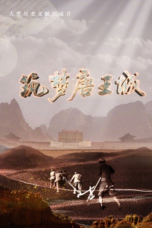 筑梦唐王城 (2024) poster