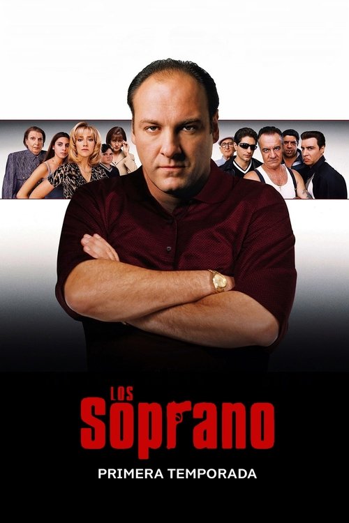 Ver temporada 1 de Los Soprano Póster de la temporada 1 de la serie Los Soprano