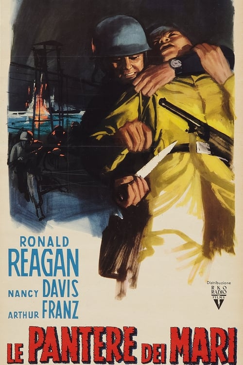 Hellcats of the Navy poster