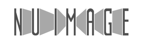 Nu Image Entertainment