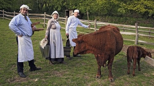 Poster della serie Edwardian Farm