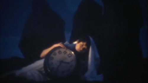 The Fan of Spiral Shell