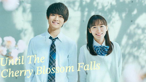 Until The Cherry Blossom Falls