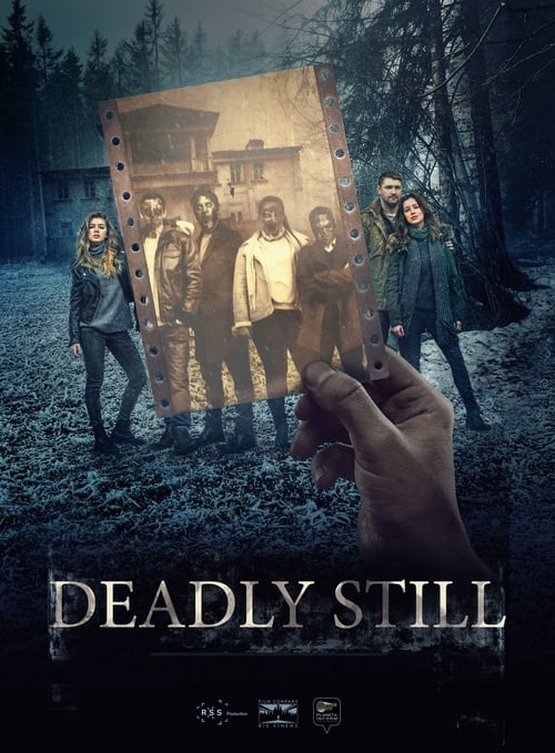 Deadly Still (HDRip)