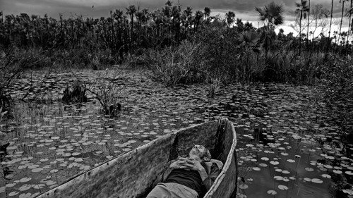 To the West, in Zapata