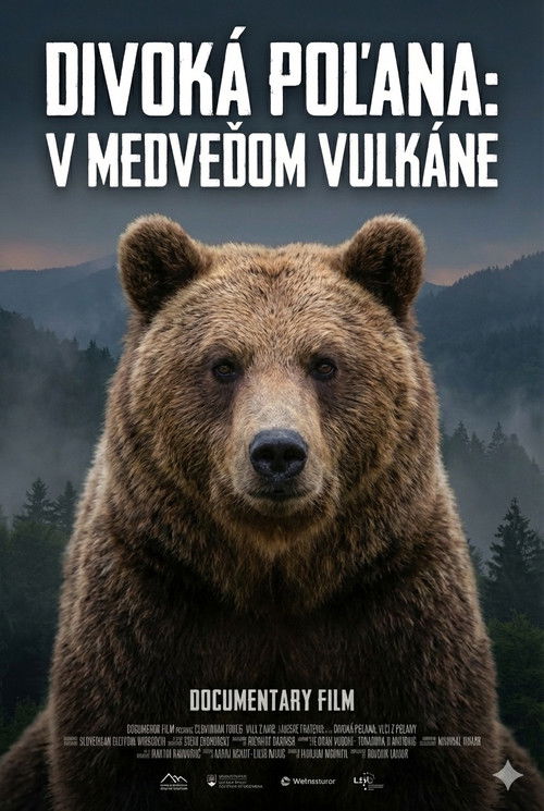 Divoká Poľana: V medveďom vulkáne Poster