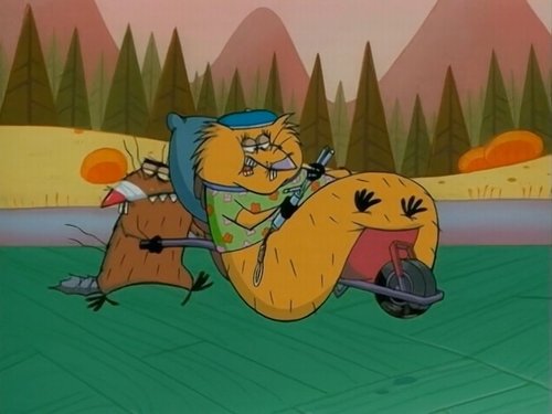 Image de l'épisode 1