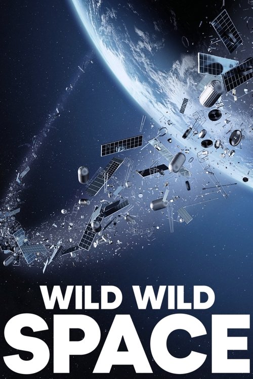 Wild Wild Space poster
