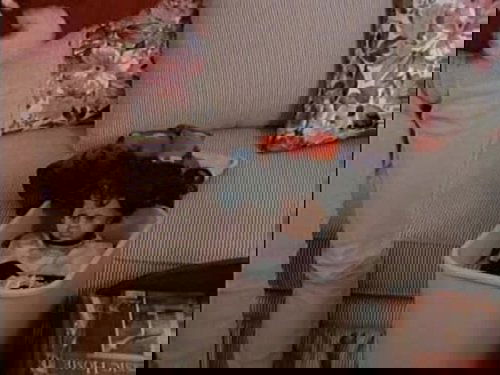 Escena del episodio 25 de la temporada 2 de la serie Melrose Place