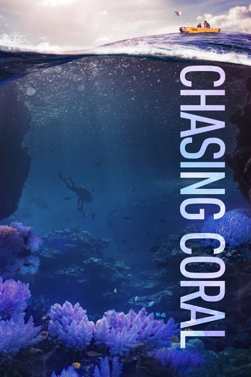 Schauen Chasing Coral On-line Streaming