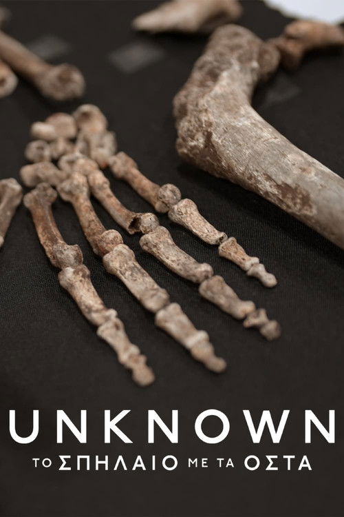 Unknown: Cave of Bones poster