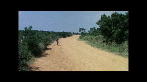 Image du film