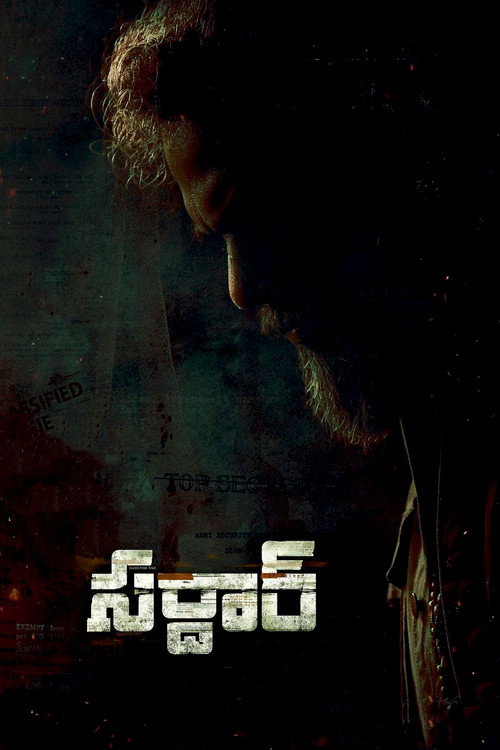Sardar poster