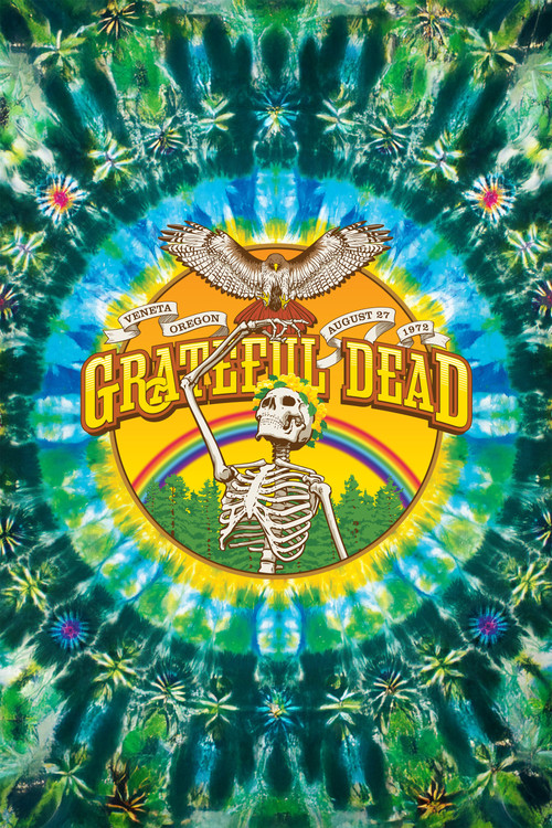 Grateful Dead: Sunshine Daydream Poster