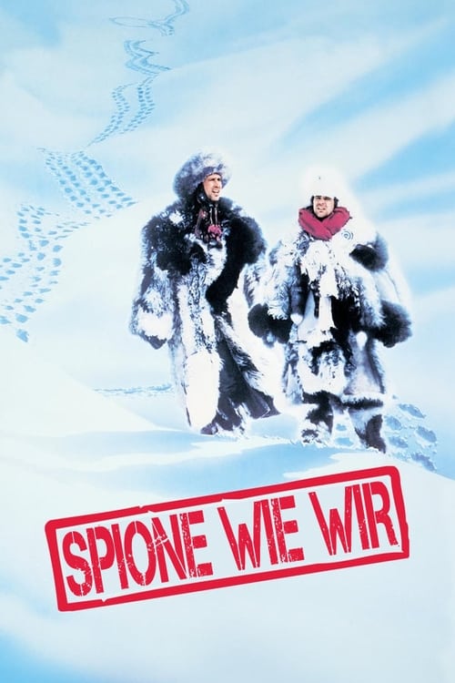 Spione wie wir 1985