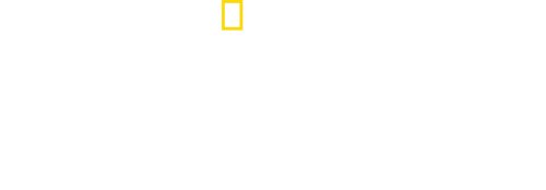Patagonia Wings