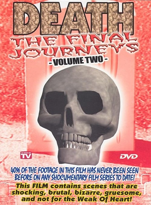 Death the Final Journey Vol. 2 movie poster player