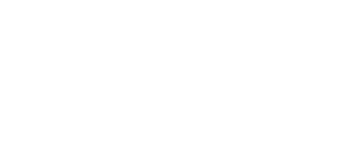 The Art of the Steal