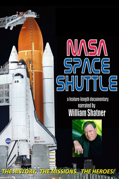 The Space Shuttle