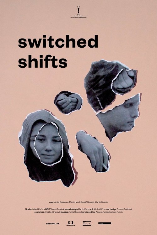 Switched Shifts movie poster player