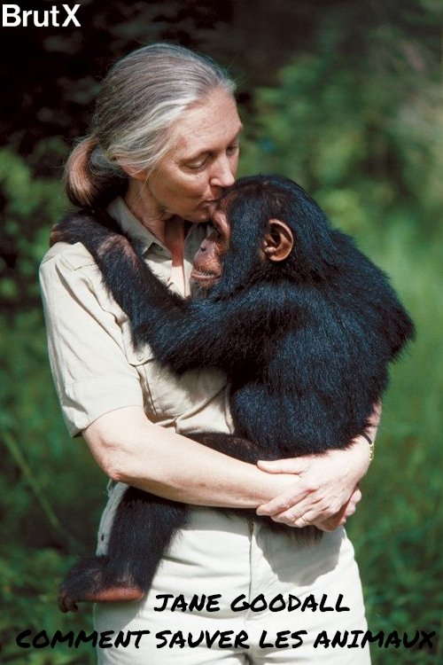 Jane Goodall : Comment sauver les animaux