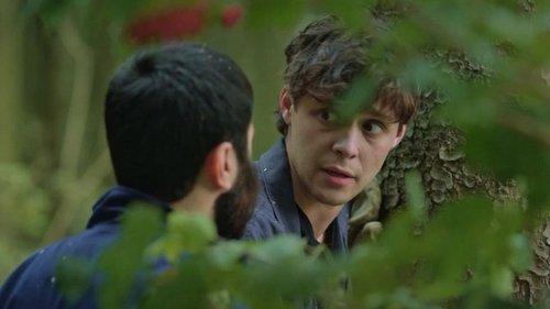 Image de l'épisode 12