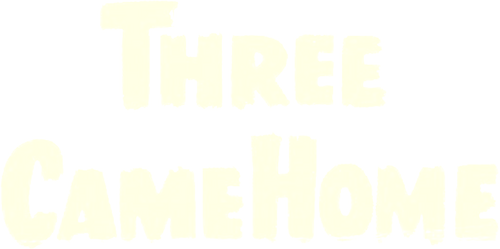 Three Came Home